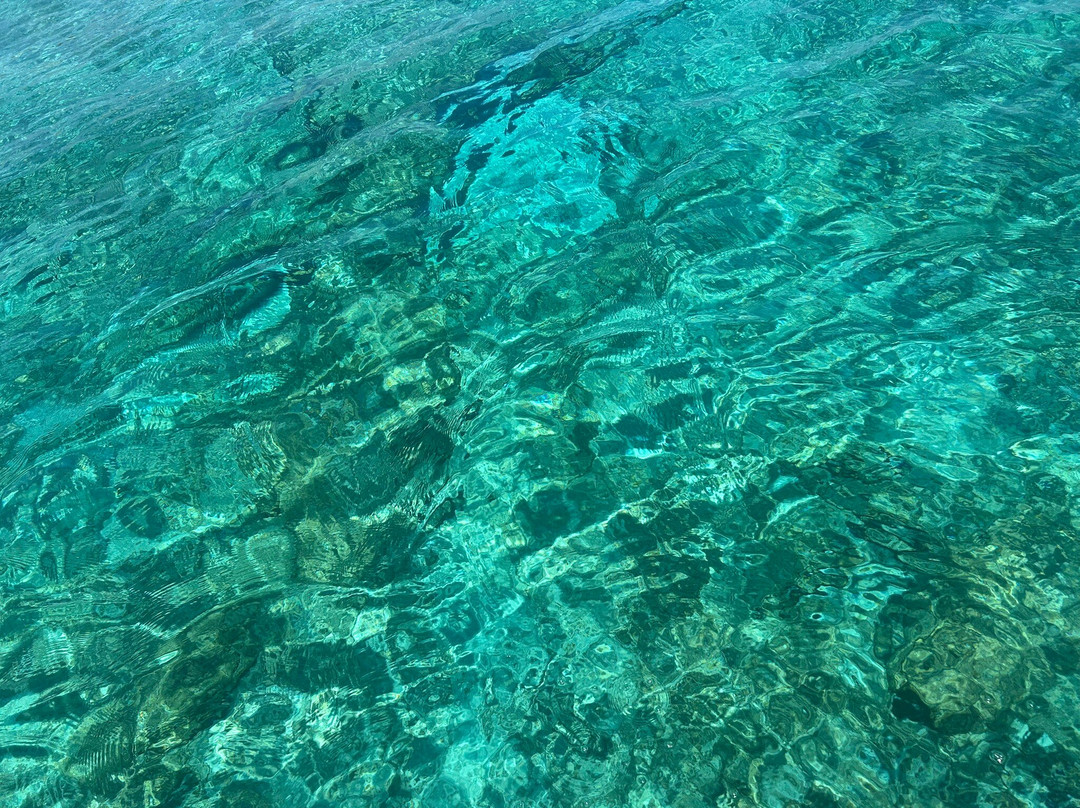 Christina Boat - Chrissi Island-Ierapetra必去景点