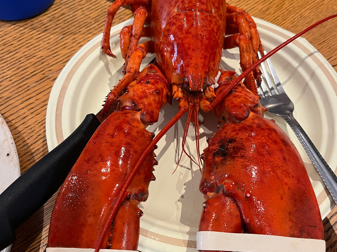 Holiday Inn Express & Suites Halifax Airport by IHG主图