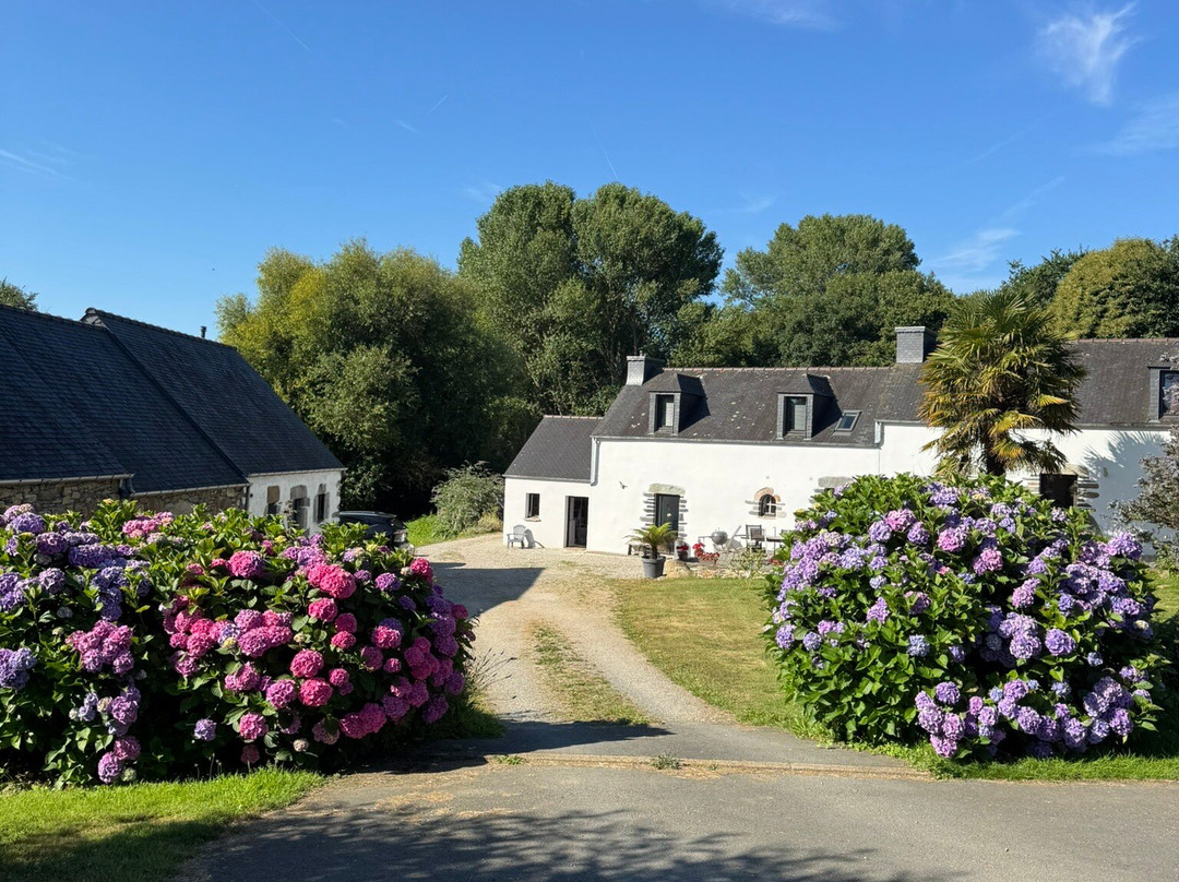 Domaine des Fougeres主图
