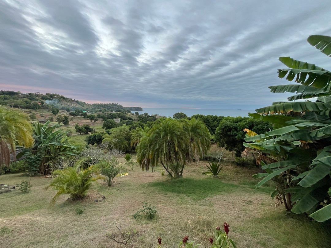 Soul of Madagascar Tours-Toamasina (Tamatave)必去景点