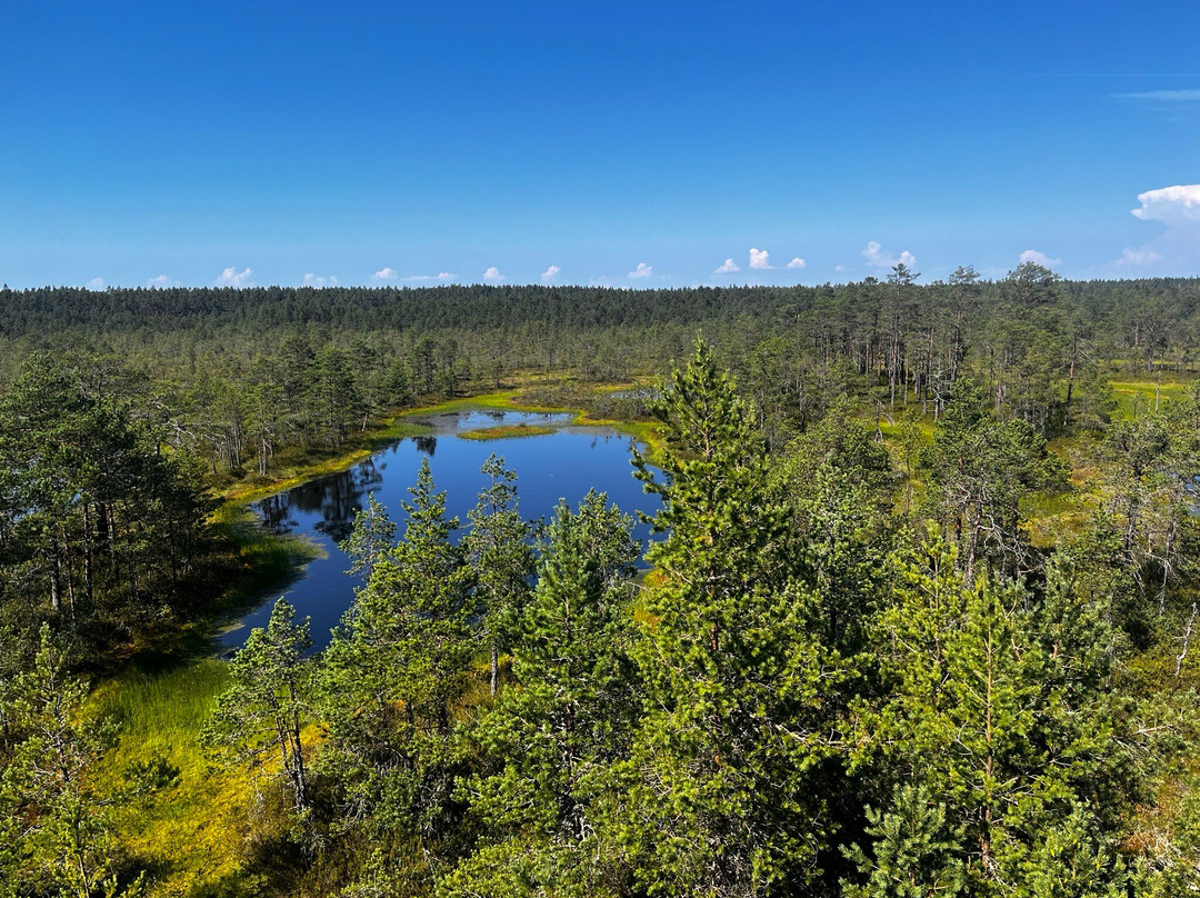 Lahemaa National Park-Vihasoo必去景点
