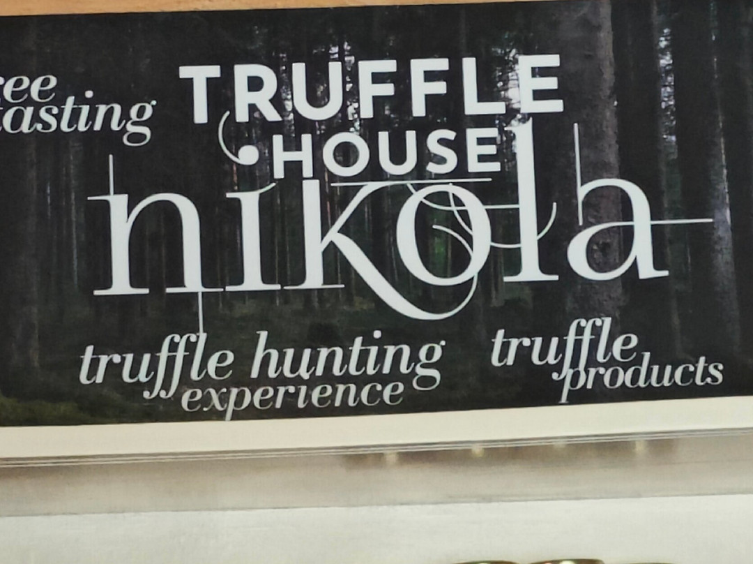 Truffle Hunting-Motovun必去景点