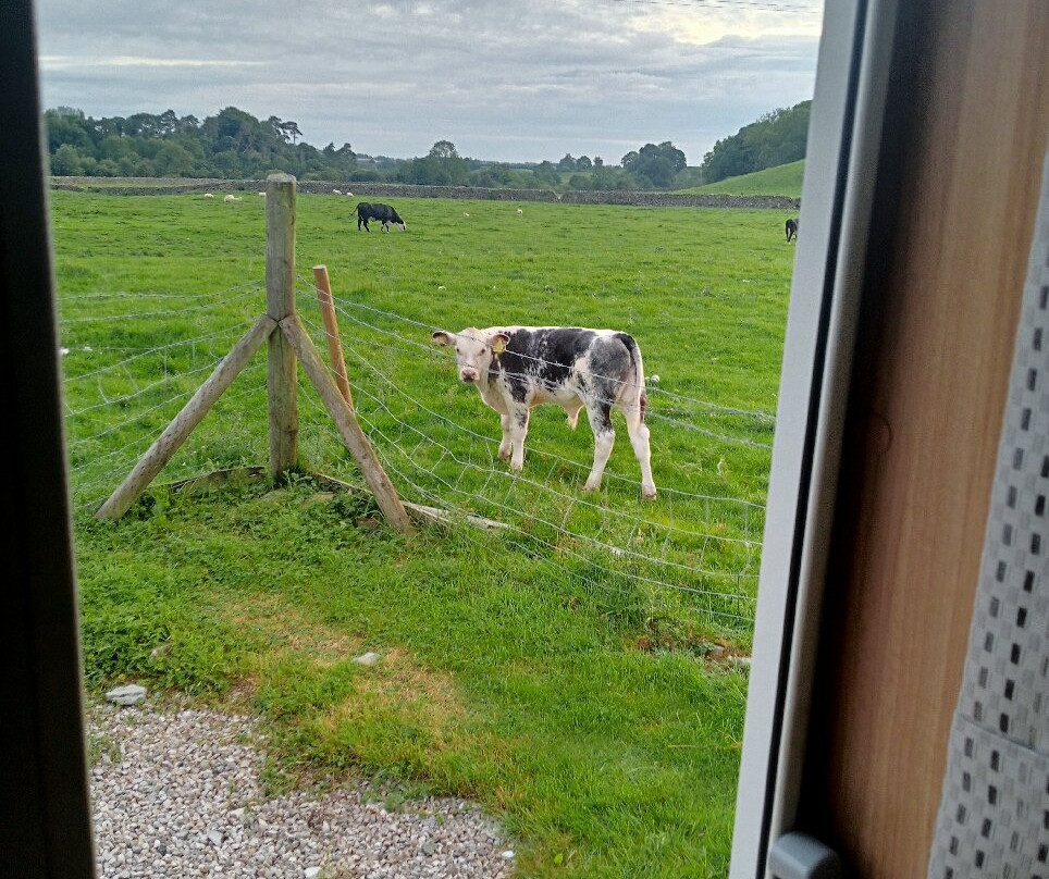 Ingleton Open Air Heated Pool-Ingleton必去景点