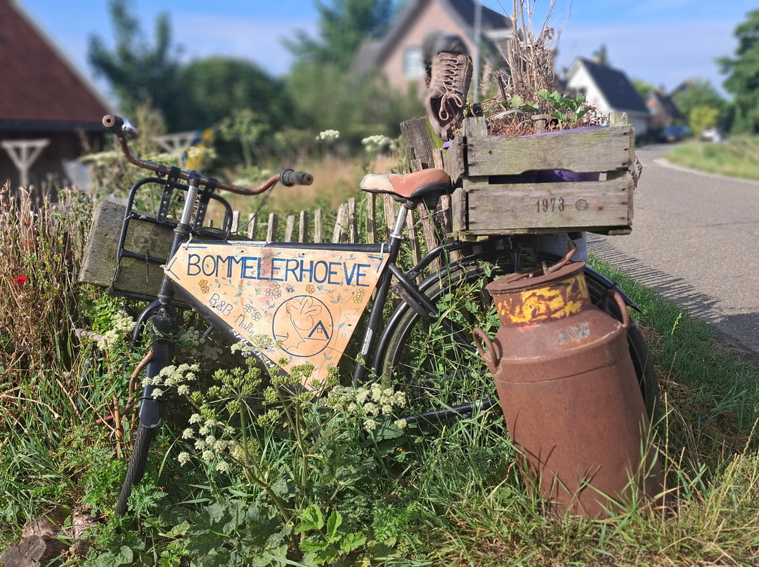 Bommelerhoeve B&b & Gastenverblijf Dirkje Boven