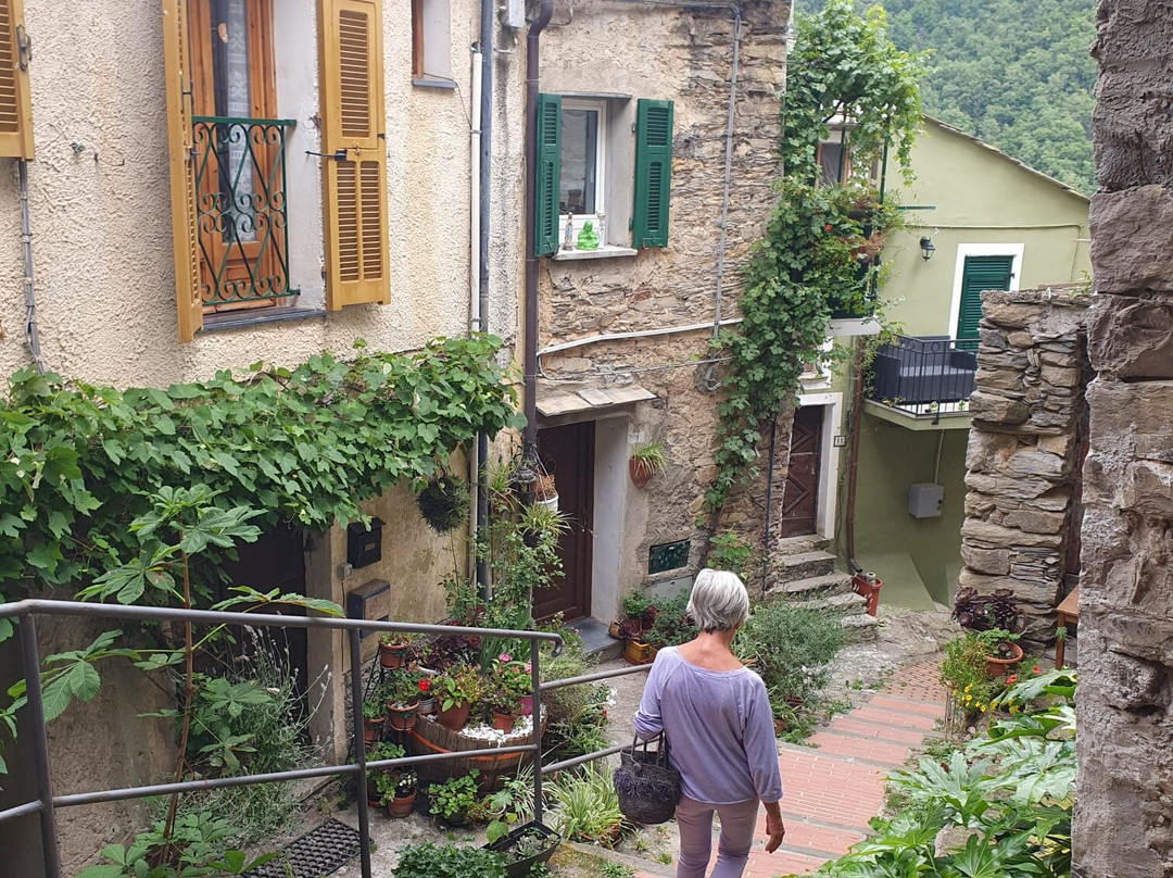 Museo della Lavanda-Carpasio必去景点