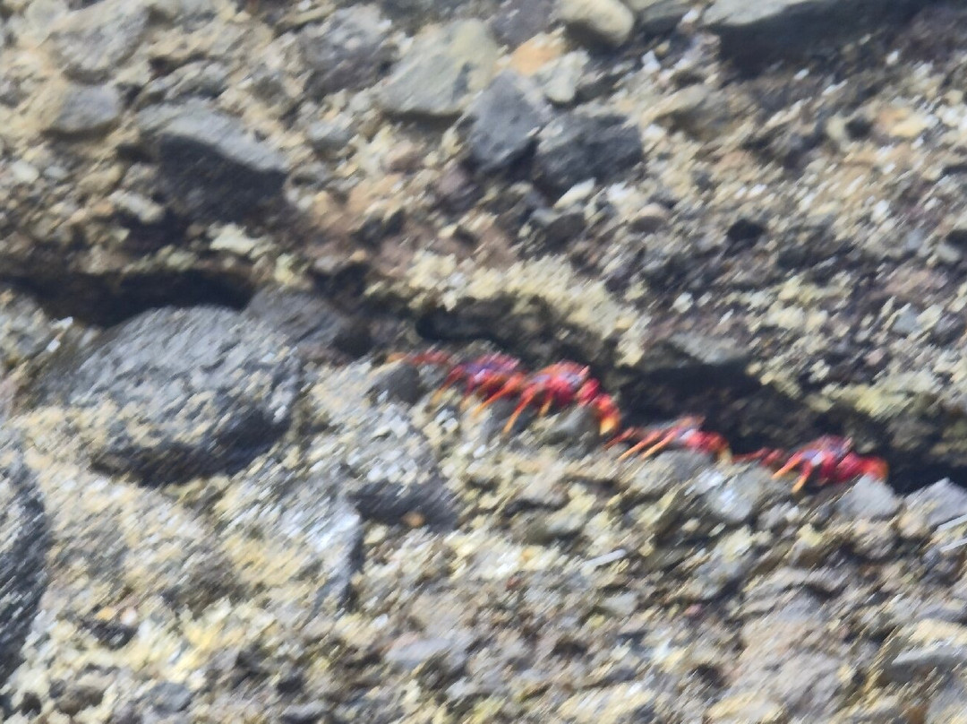 MC Atividades Nauticas-Santa Cruz das Flores必去景点