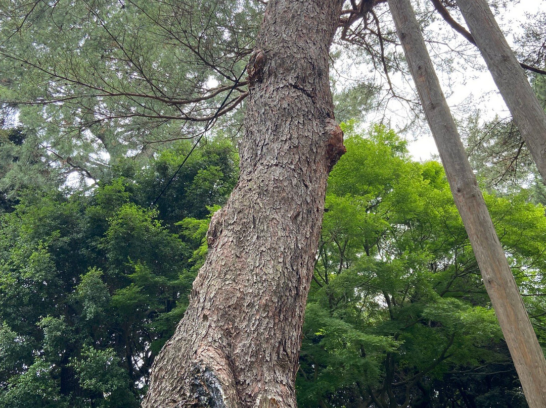 东京都庭园美术馆-Shirokanedai必去景点