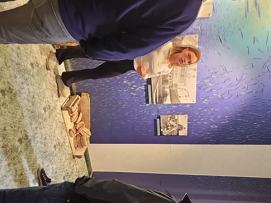 Engesund Fiskeoppdrett-Fitjar必去景点