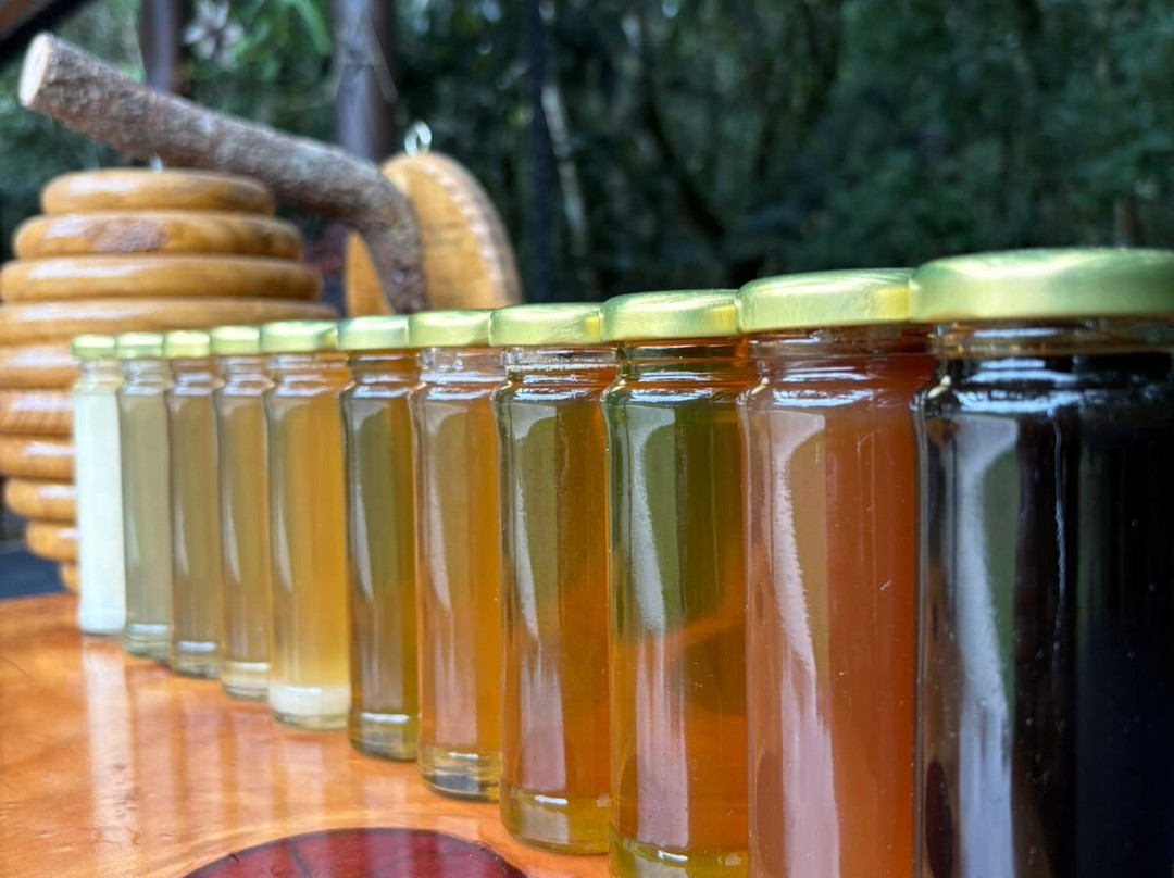 Meliponário Doce Paraíso-Colombo必去景点