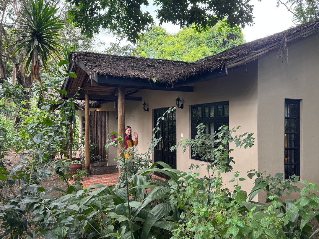 河边树乡村酒店主图