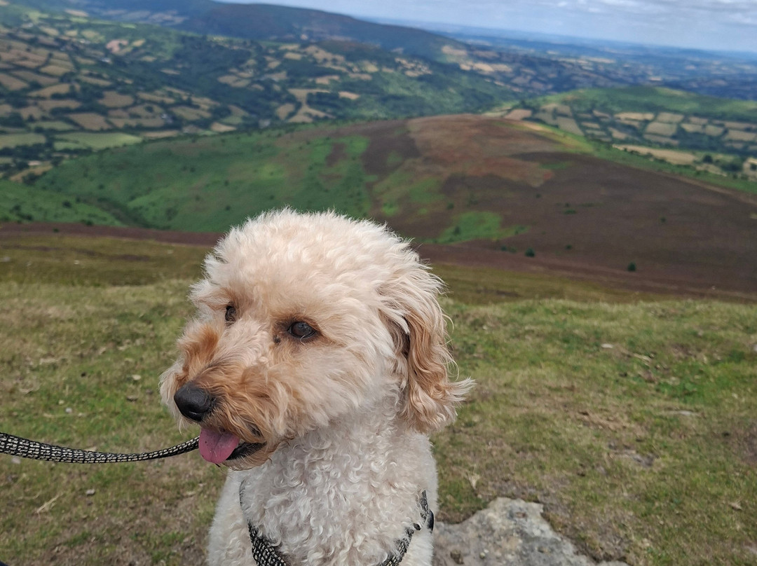 Sugarloaf Mountain-阿伯加文尼必去景点