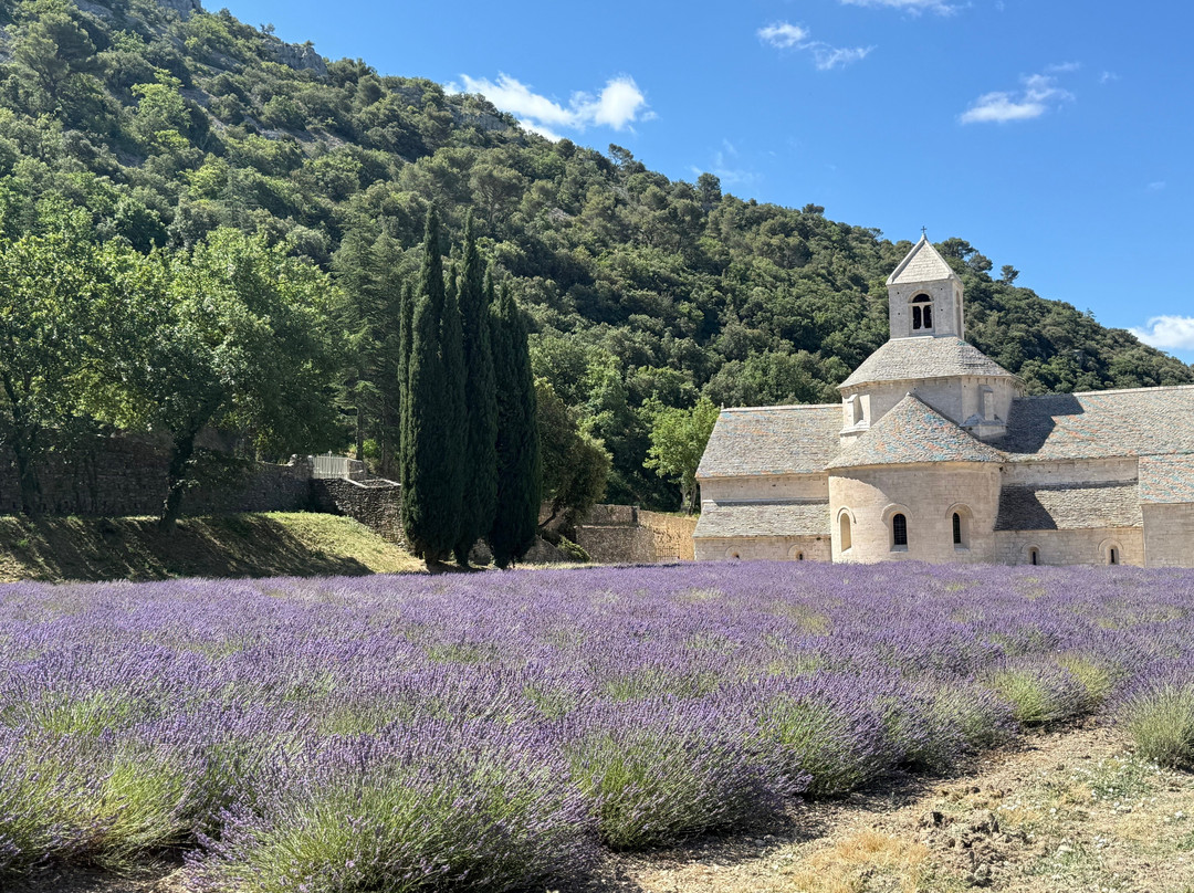 Epicurean Provence Tour (Provence, Luberon, Alpilles)-圣雷米必去景点