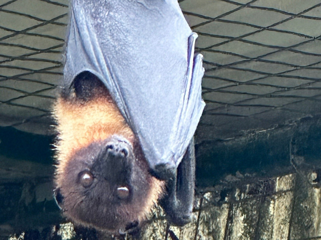 Zoologico El Bosque-奥维耶多必去景点