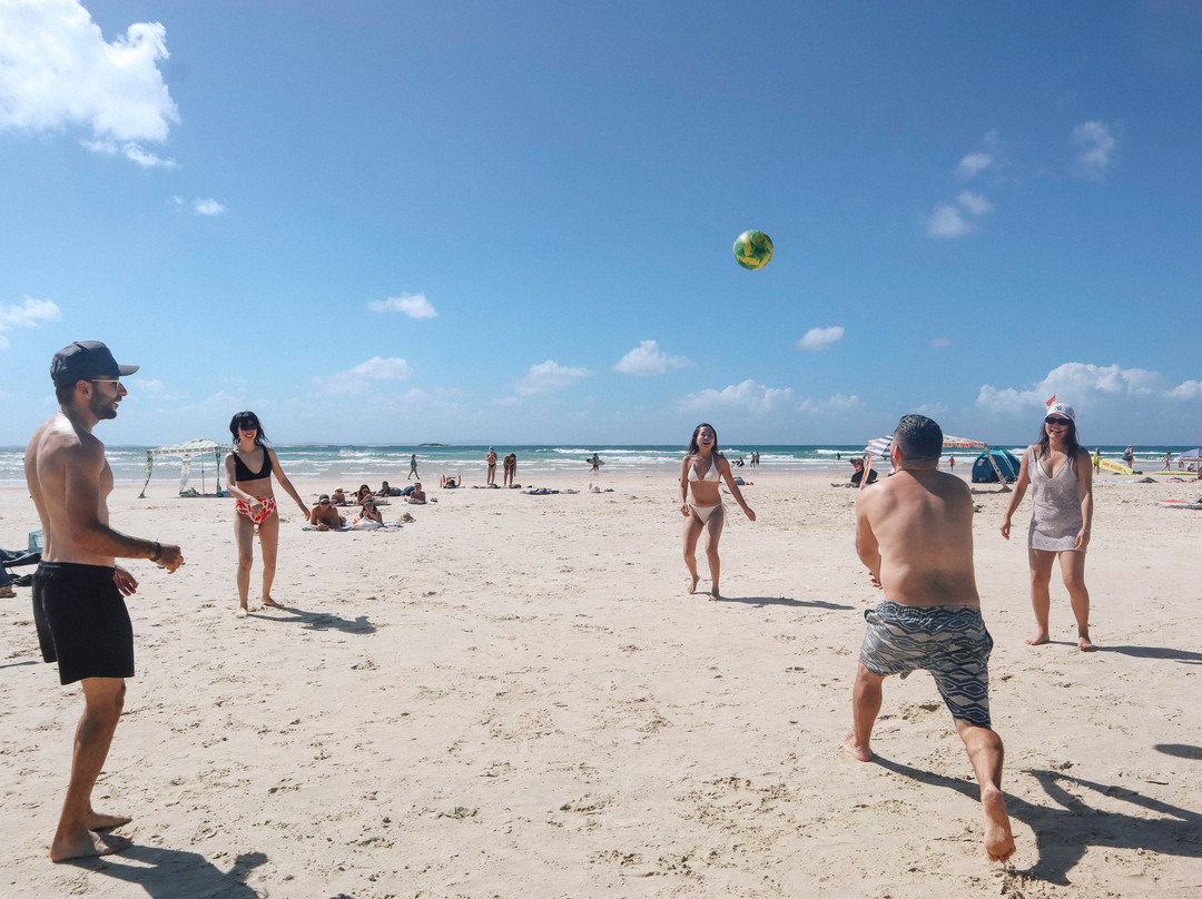 Paradise Tours-黄金海岸必去景点