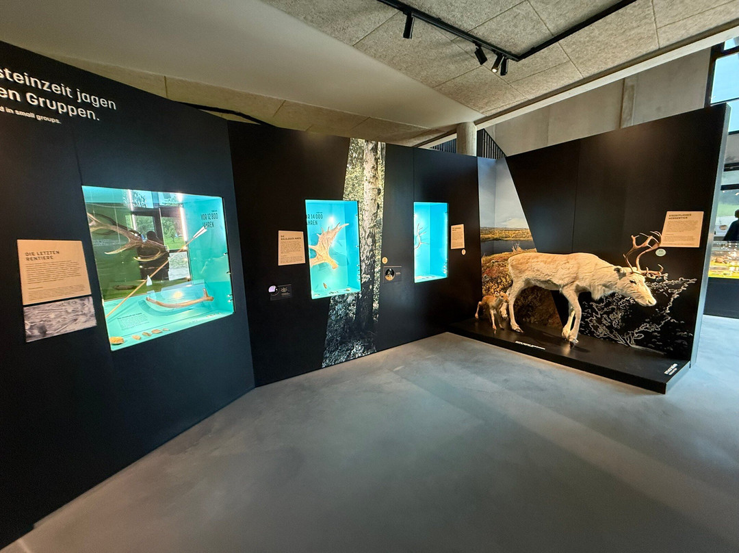 Steinzeitpark Dithmarschen-Albersdorf必去景点