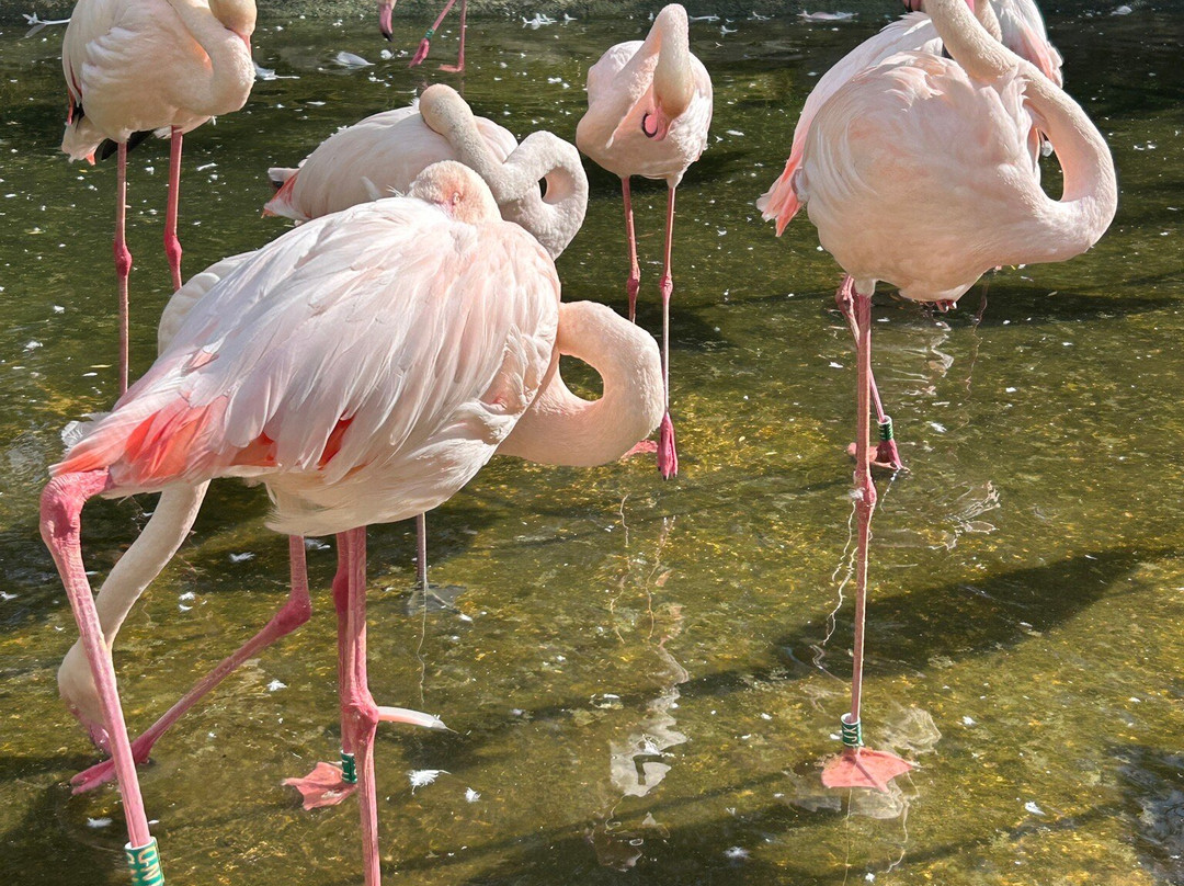 Ölands Djur & Nöjespark-Färjestaden必去景点