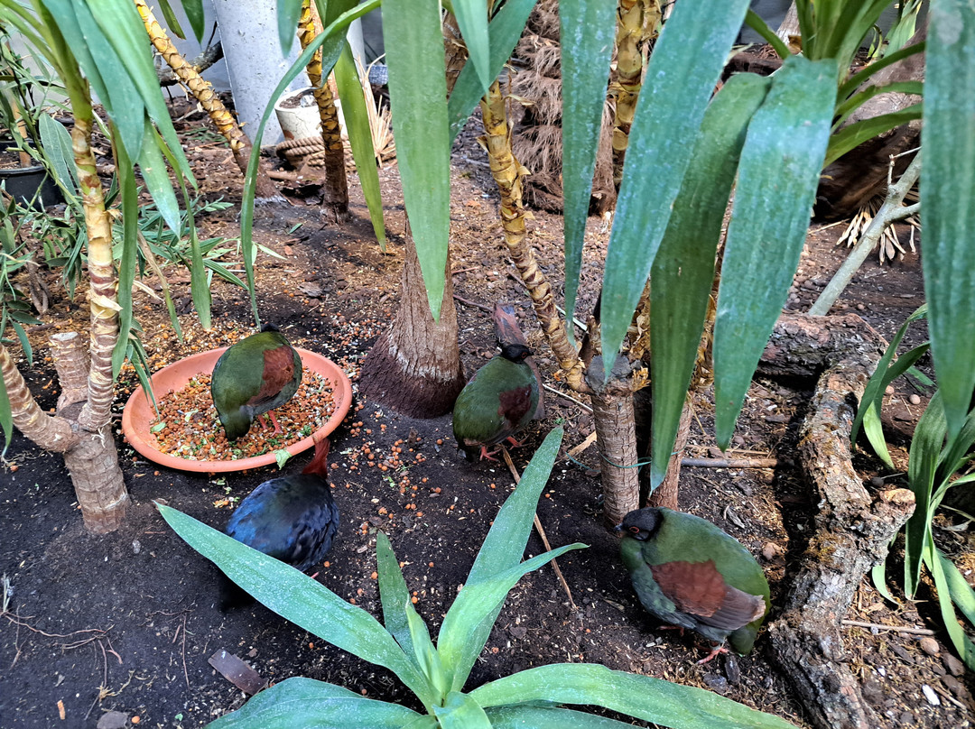 Zoopark Kaunas-考那斯必去景点