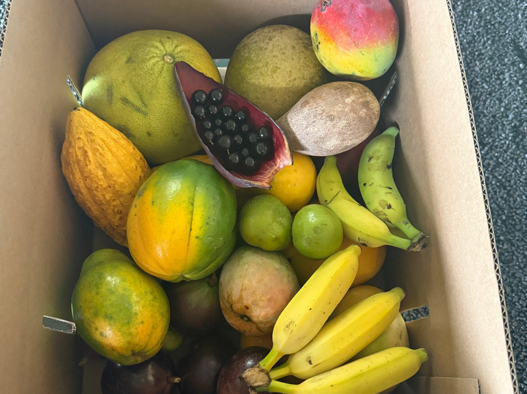 ONO Organic Farms-哈纳必去景点