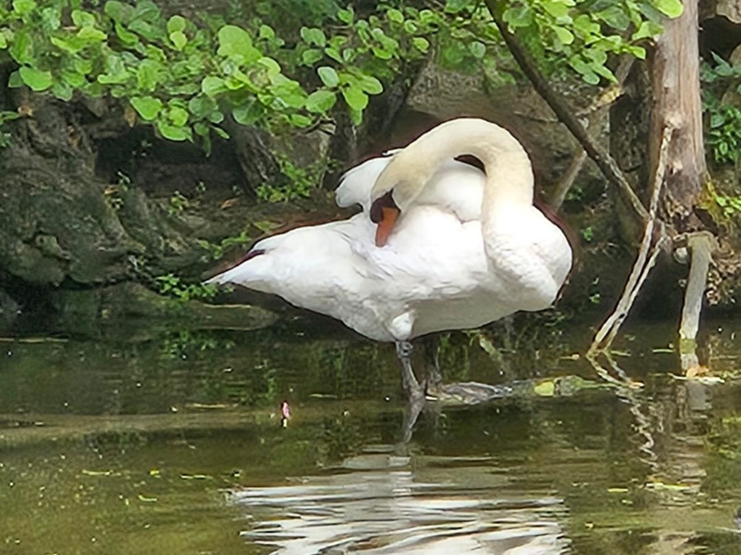 Château de Grouchy-Osny必去景点
