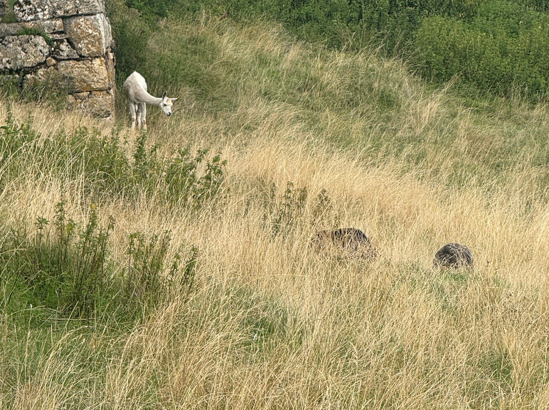 Domaine de Bel-Air-Le Landeron必去景点