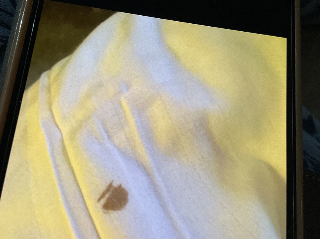 Glendower Hotel, BW Signature Collection主图