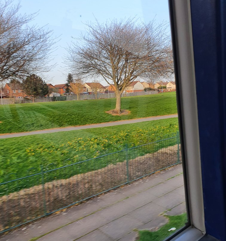 Webster Park-Kirkby必去景点