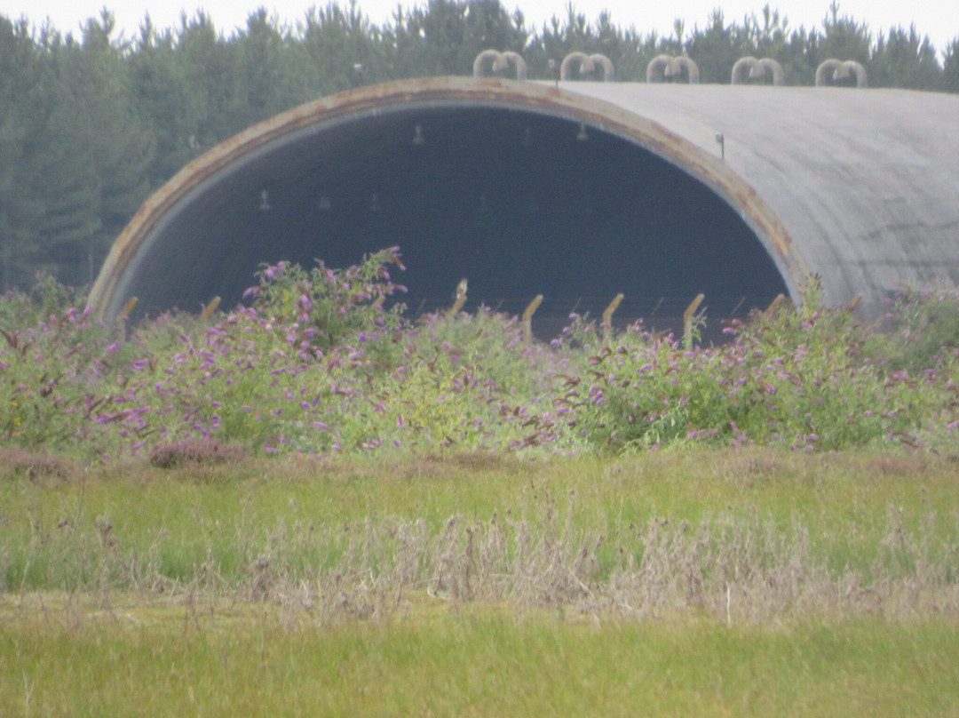 Orwell Country Park-伊普斯威奇必去景点