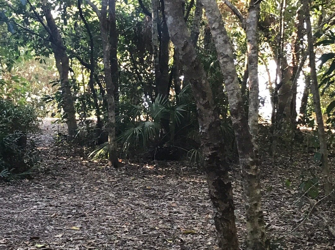 Smalleys Beach-Cape Hillsborough必去景点