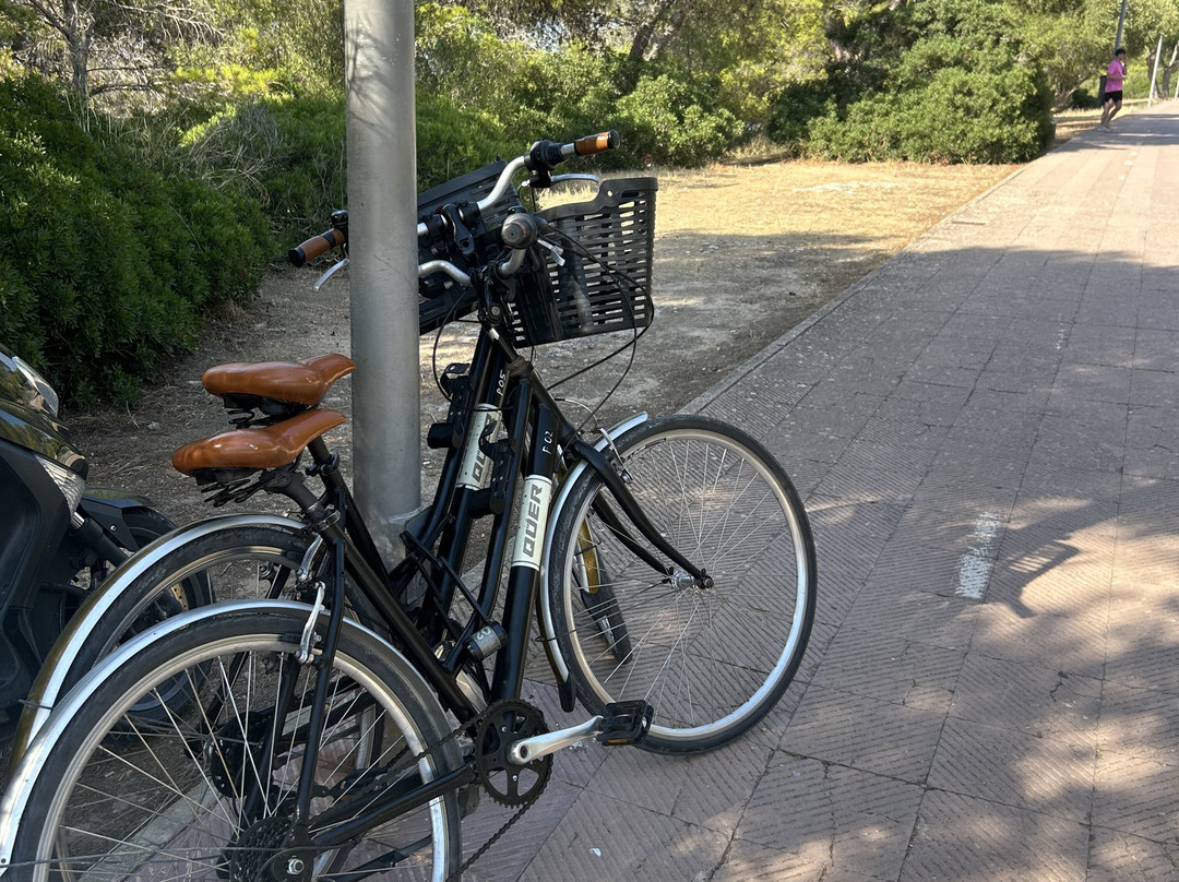 Berganti Bikes-坎帕斯蒂利亚必去景点