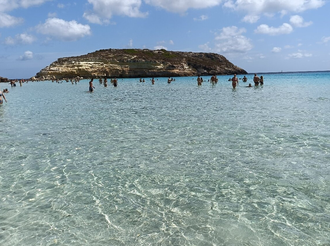 Isola dei Conigli-兰佩杜萨必去景点