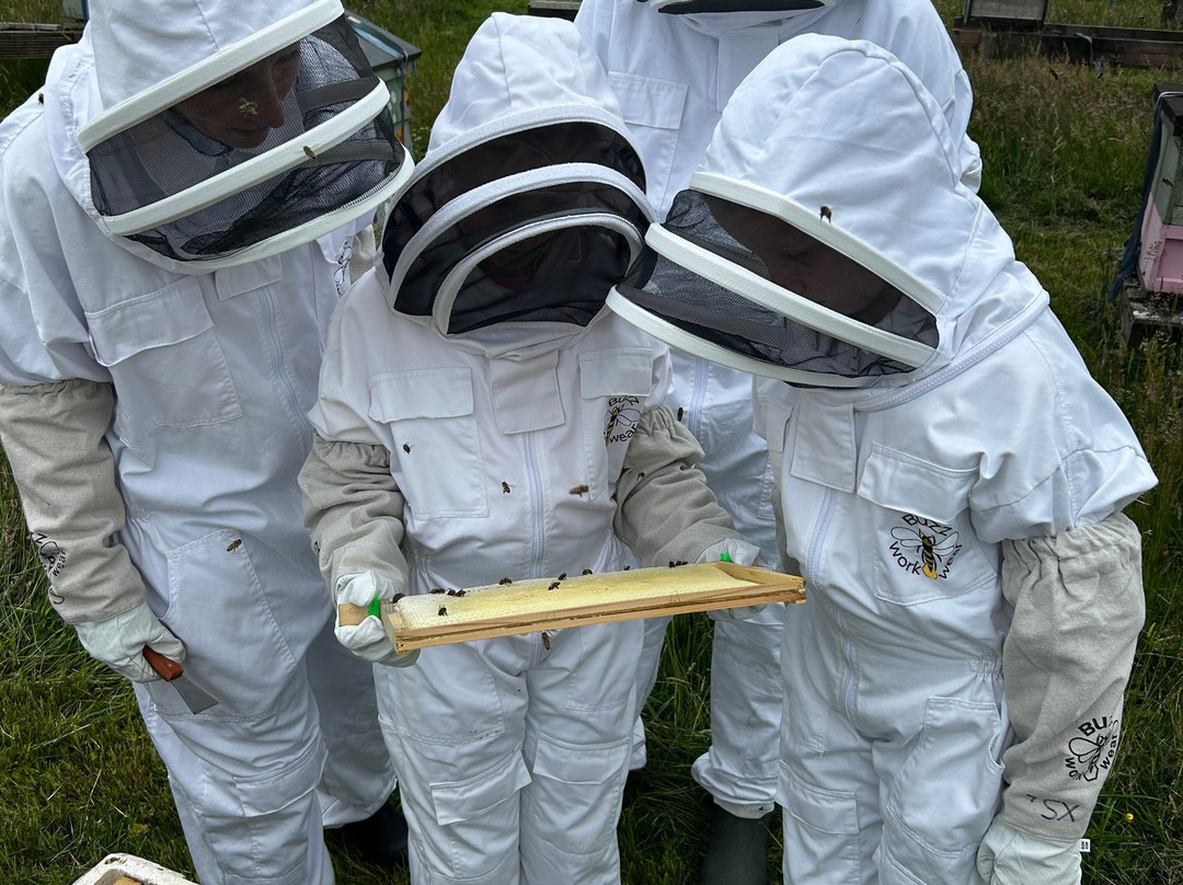 Main's Apiaries-丹弗姆林必去景点