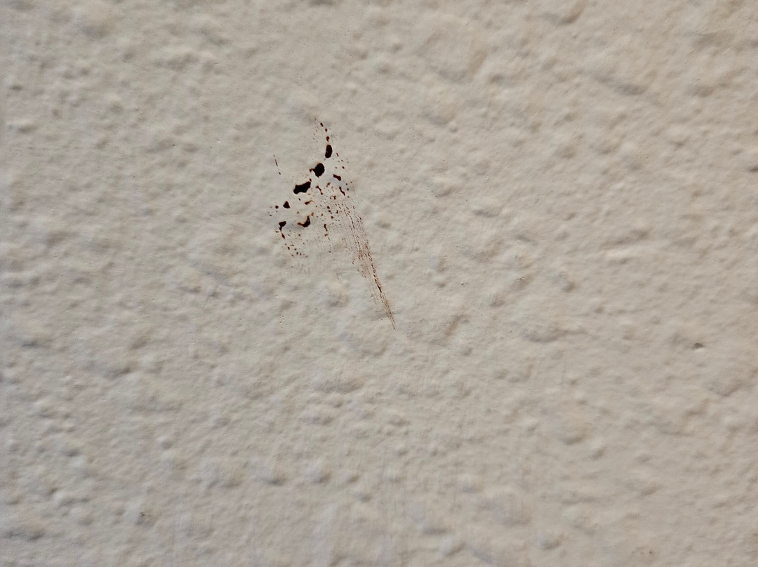 Best Western Plus Hudson I-94主图