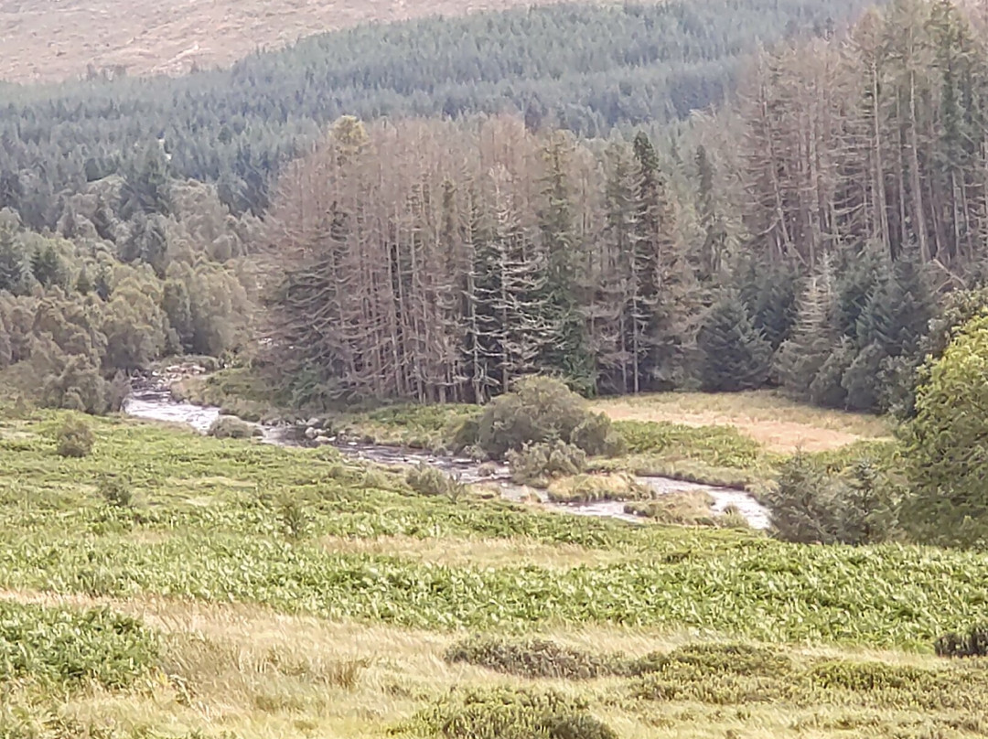 The Raiders Road Forest Drive-邓弗里斯-加洛韦必去景点