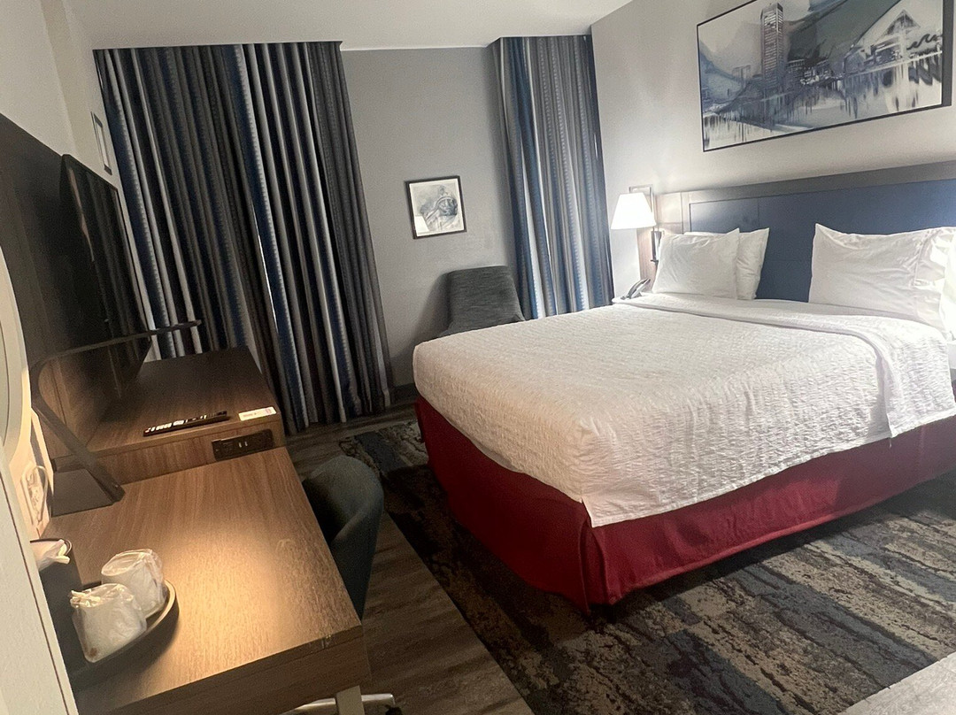 巴尔的摩内港希尔顿恒庭旅馆&套房酒店主图