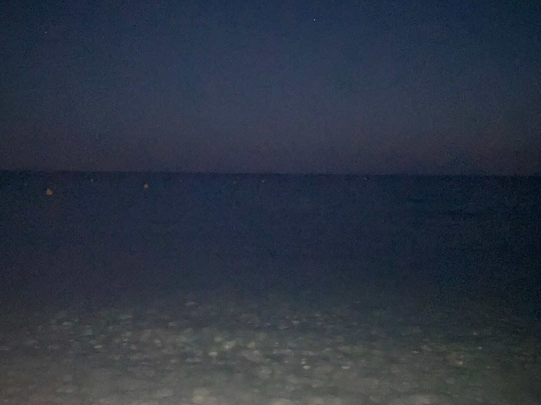 Platja de Son Xoriguer-卡兰博希必去景点