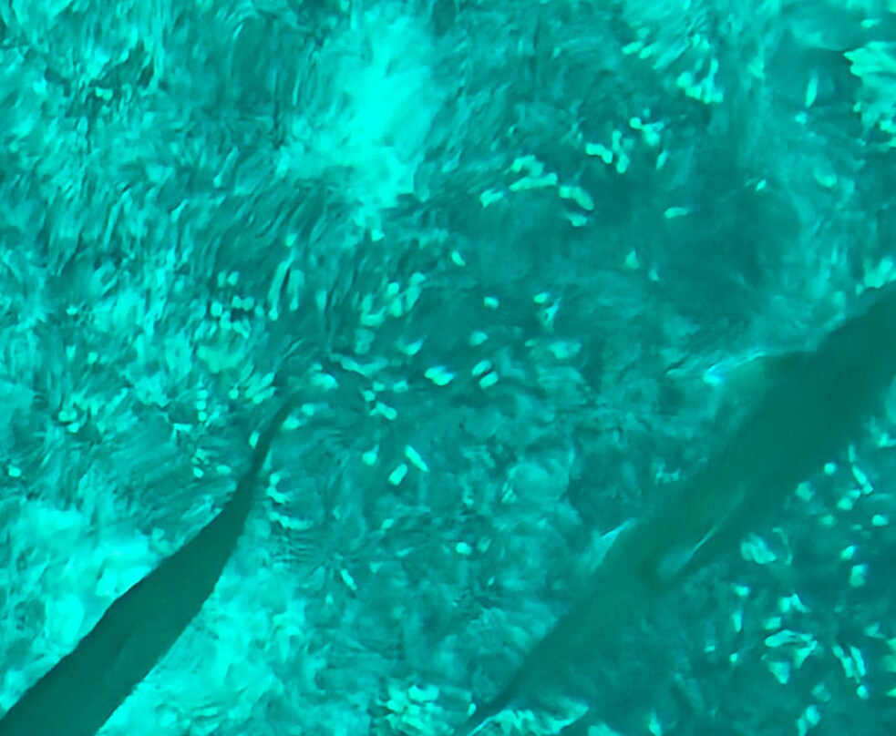 Kitch-Iti-Kipi-Manistique必去景点