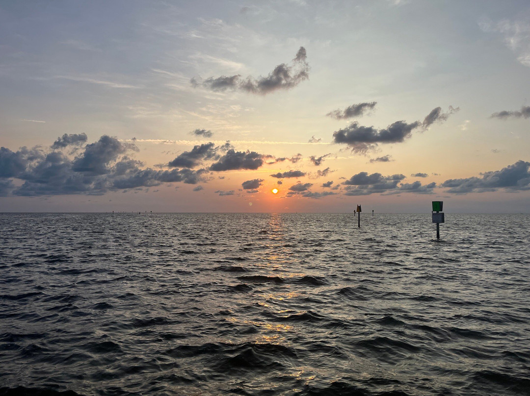 Hampton Inn & Suites Port Richey主图