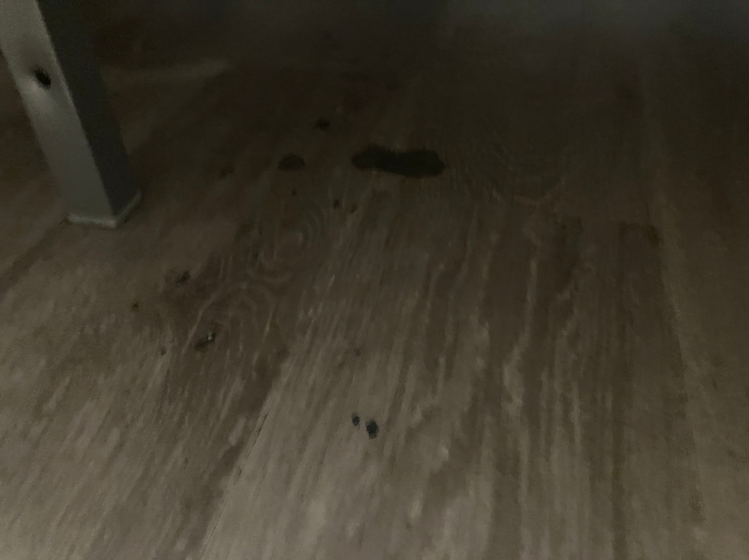 巴黎南阿多尼斯公寓式酒店