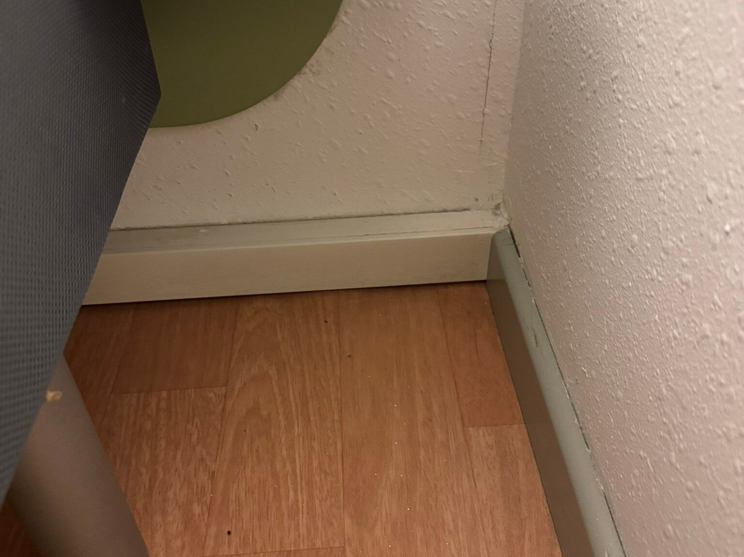 宜必思快捷吉罗纳布拉瓦海岸酒店主图