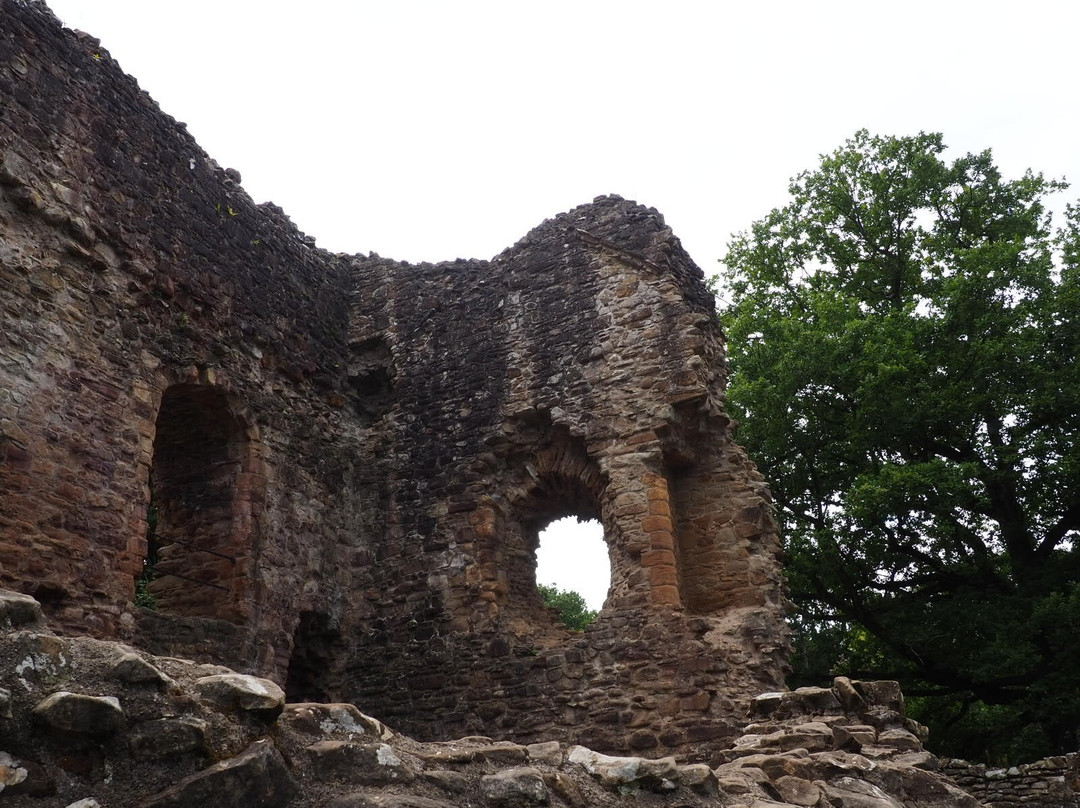 Wepre Park-Connah's Quay必去景点