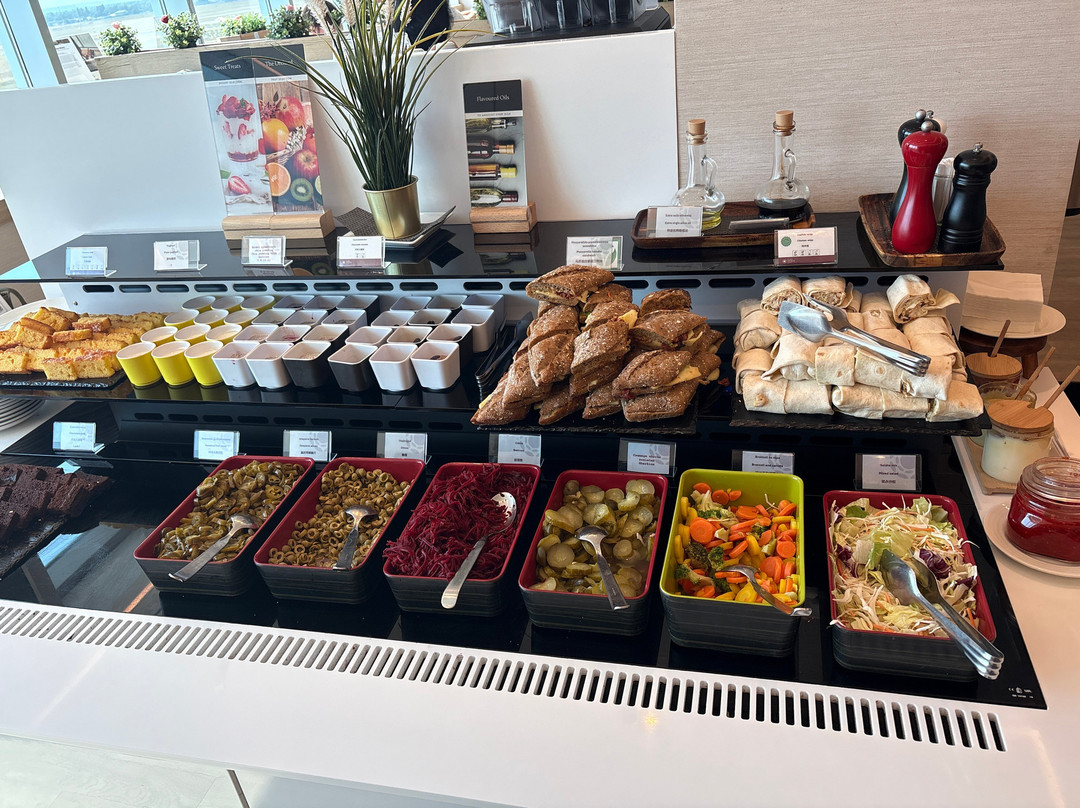 Plaza Premium Lounge (Non-Schengen Area, Departures, Mezzanine Floor, Terminal 2B)-布达佩斯必去景点