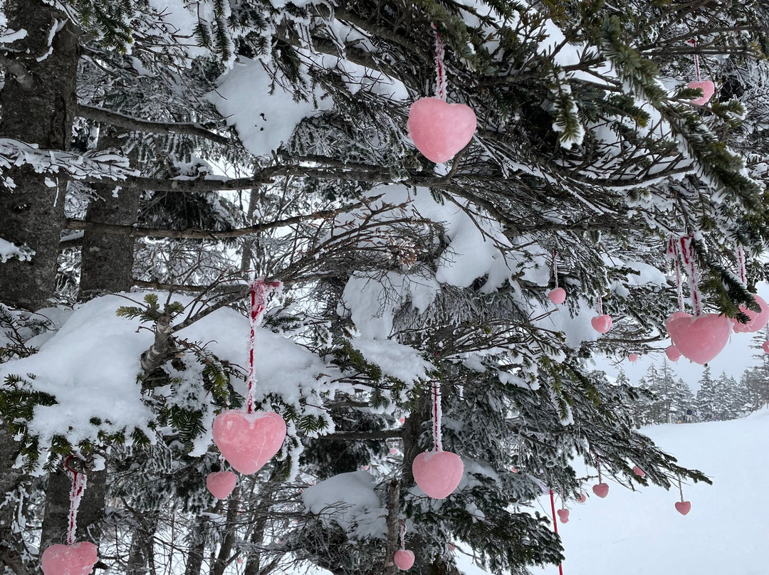 Shigakogen Yakebitaiyama Ski Area-山之内町必去景点