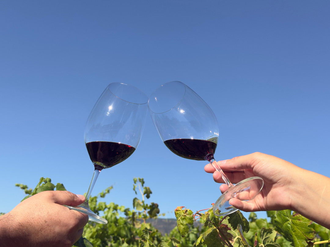 Viña Hacienda Araucano- François Lurton-Lolol必去景点