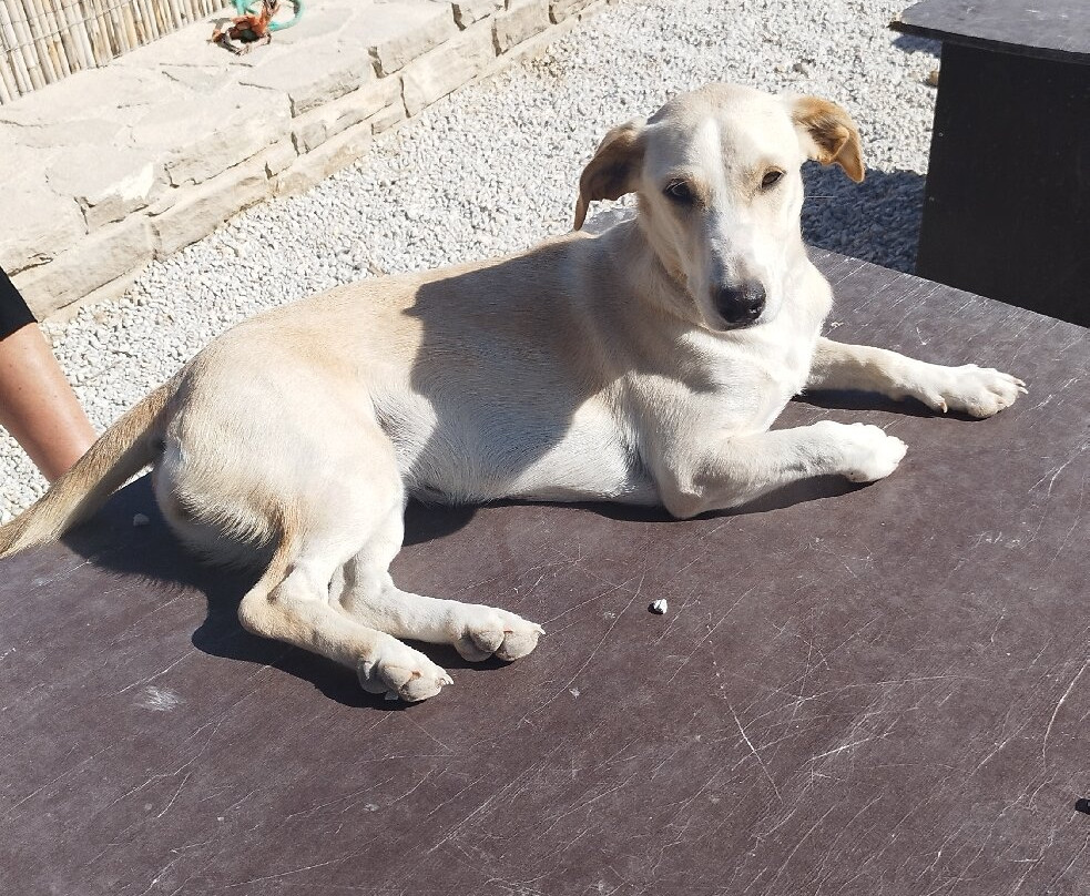 Takis Shelter-Ierapetra必去景点