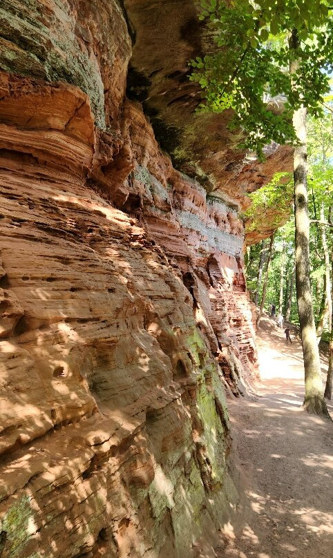 Altschlossfelsen-Eppenbrunn必去景点