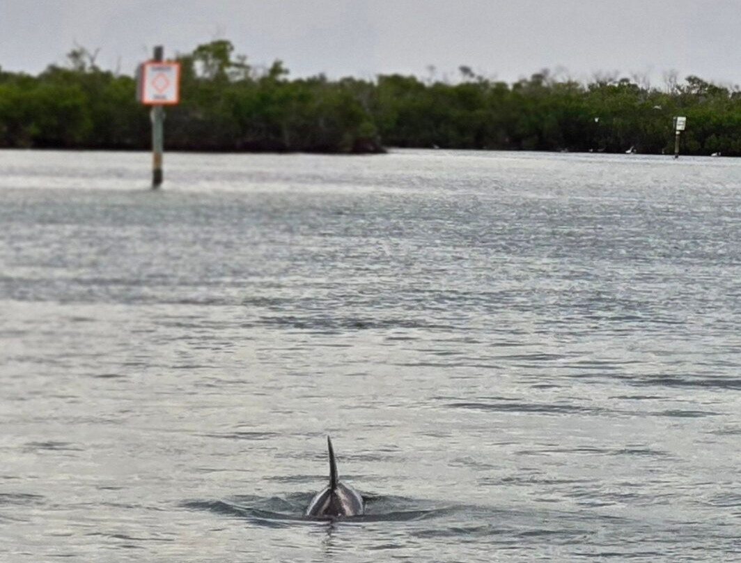 Gasparilla Boat Tours-恩格尔伍德必去景点