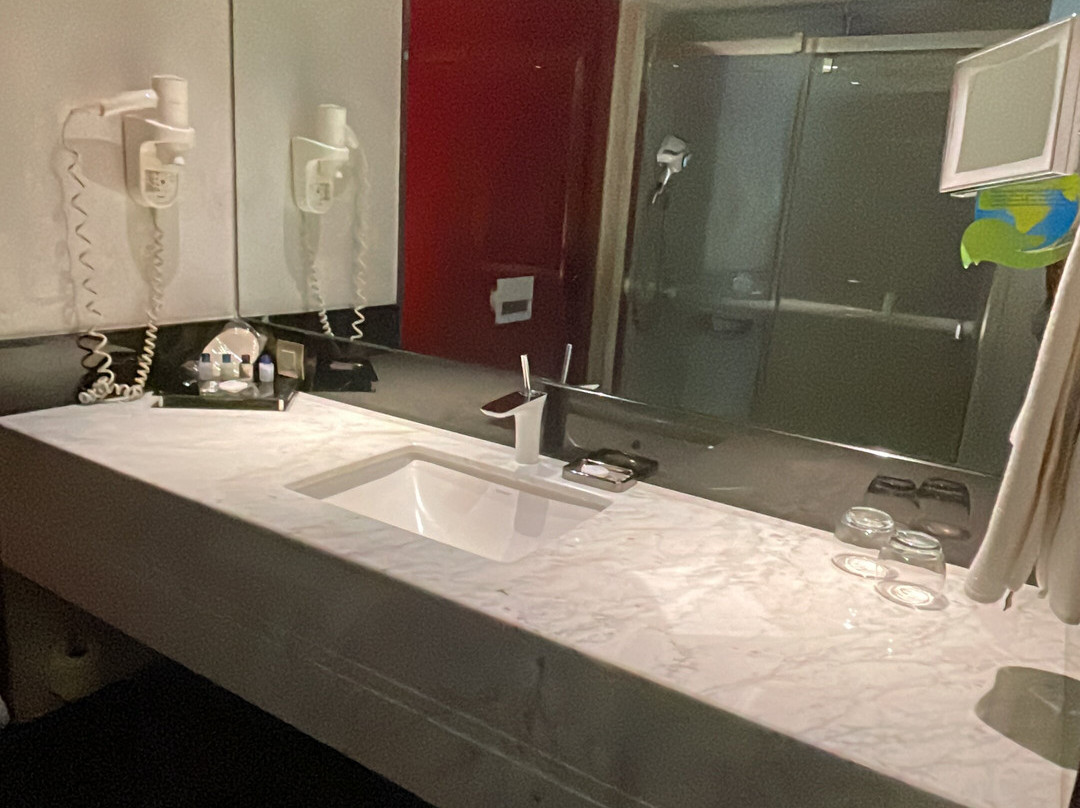 Warwick Ankara主图