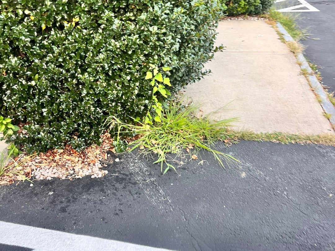 Candlewood Suites-West Springfield by IHG主图