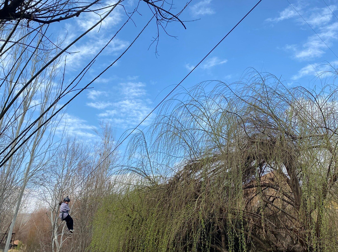 San Francisco Lodge主图