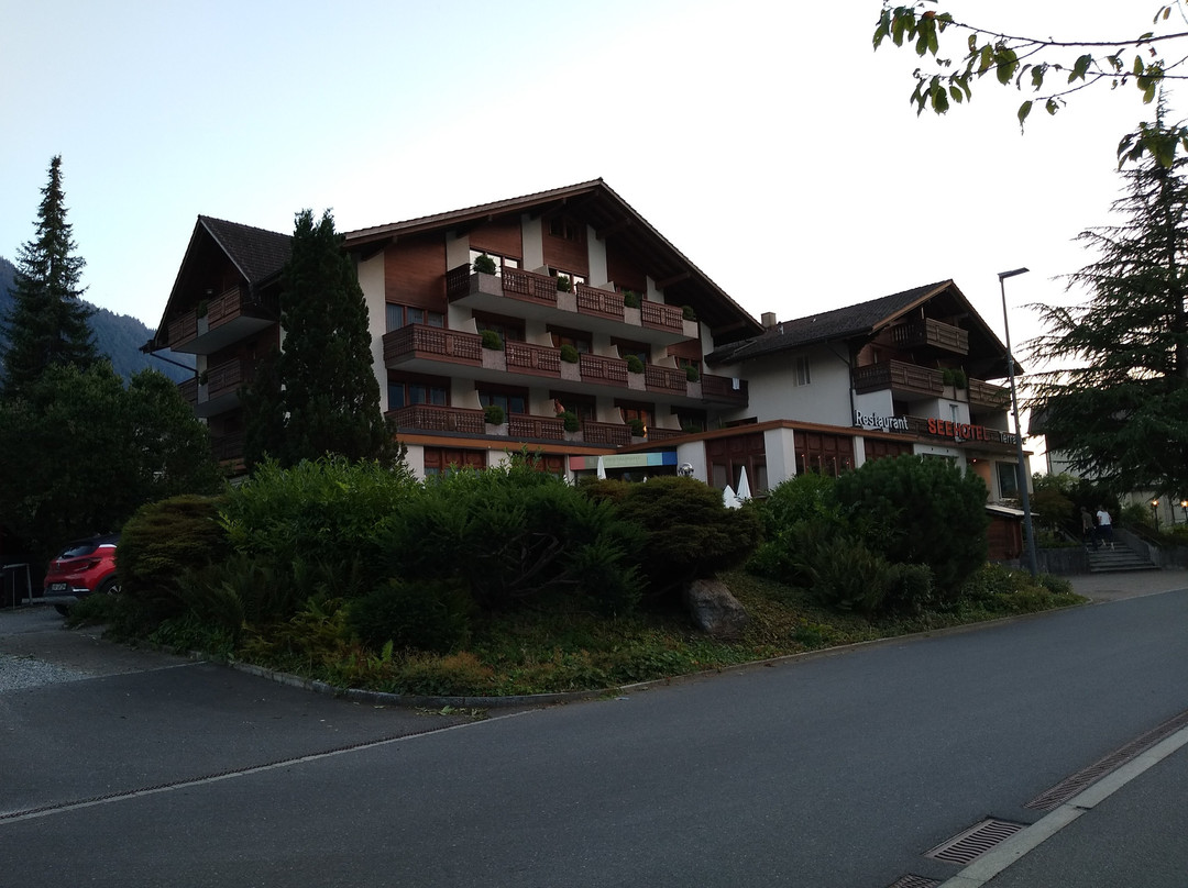 Seehotel Bonigen主图